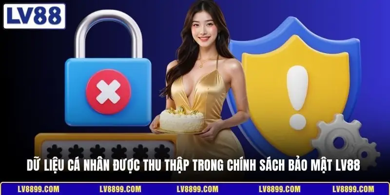 Dữ liệu cá nhân được thu thập trong chính sách bảo mật LV88